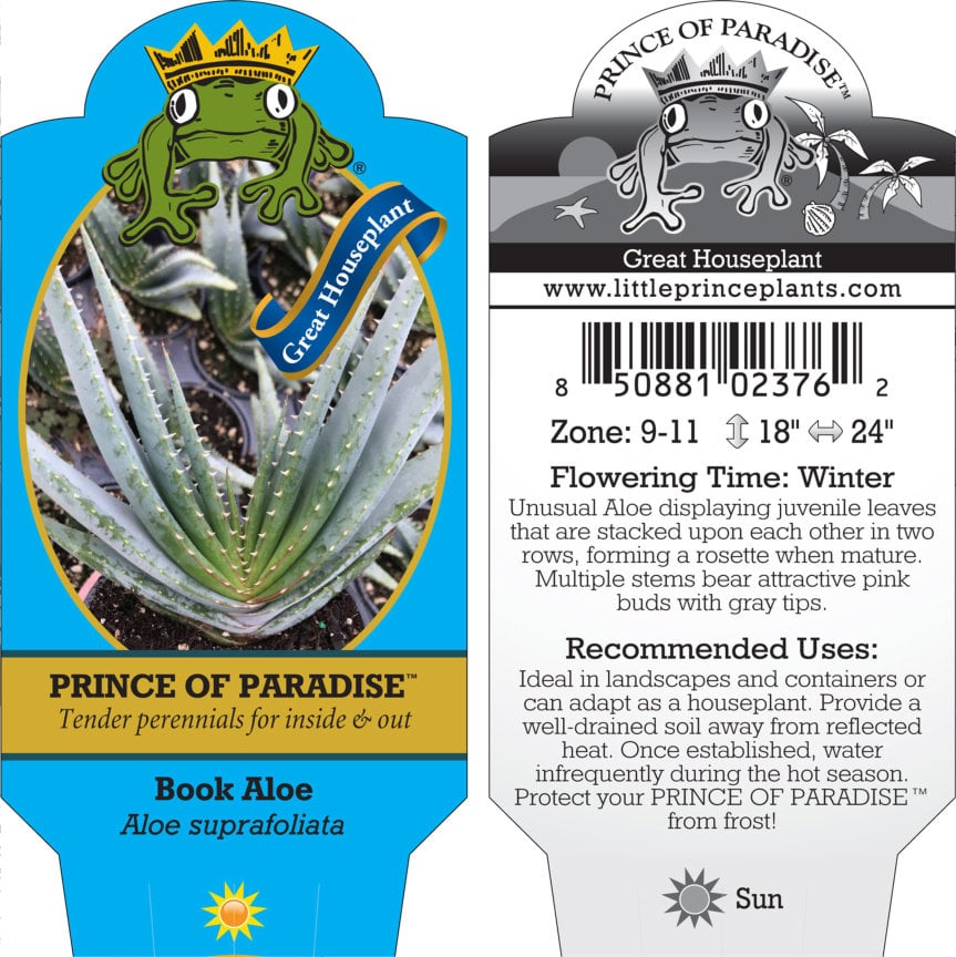aloe vera massage lotion BODY + MASSAGE LOTION  bathandbodyfusionwholesale.com