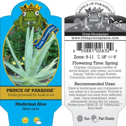 aloe vera hair food shampoo Black soap-aloe shampoo – forestcrownbeauty
