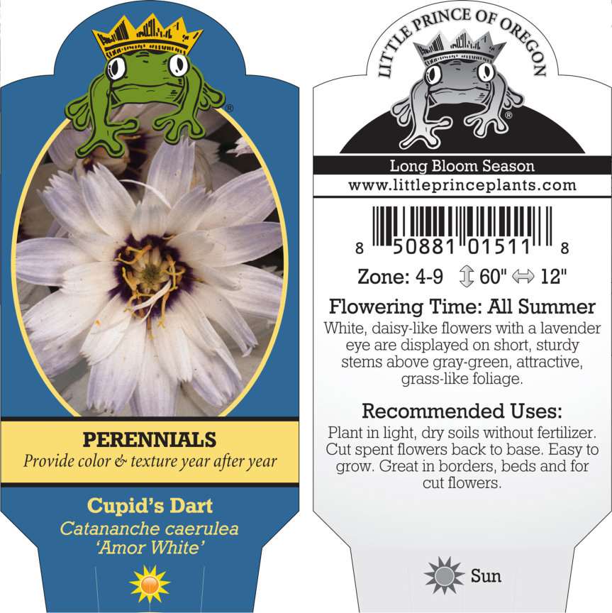 plants oil Organic Plantain Oil: Pure & 100% Natural main image 0