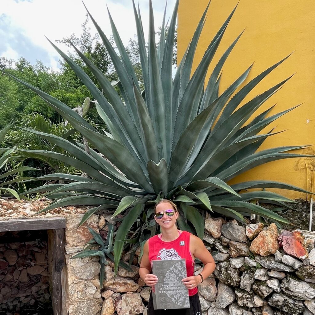 Agave-tequilana-Webers-Blue-