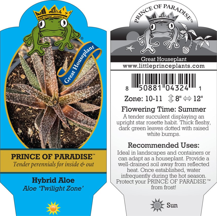 Aloe 'Twilight Zone' (4.5" Round) | Little Prince of Oregon Nursery