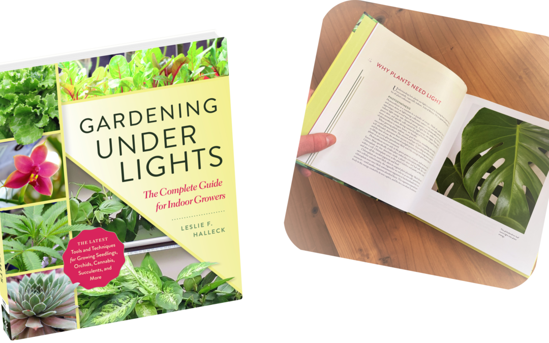 Houseplant Lighting Demystified: Grow Like Mike