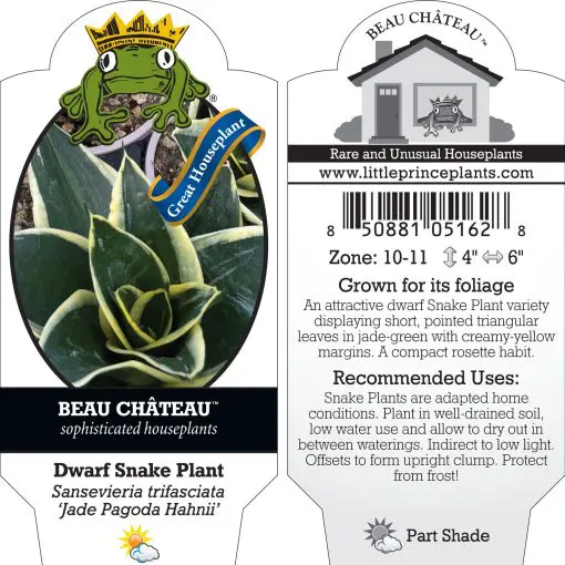 garden salsa pepper seeds Garden Salsa Pepper | Two Live Garden Plants