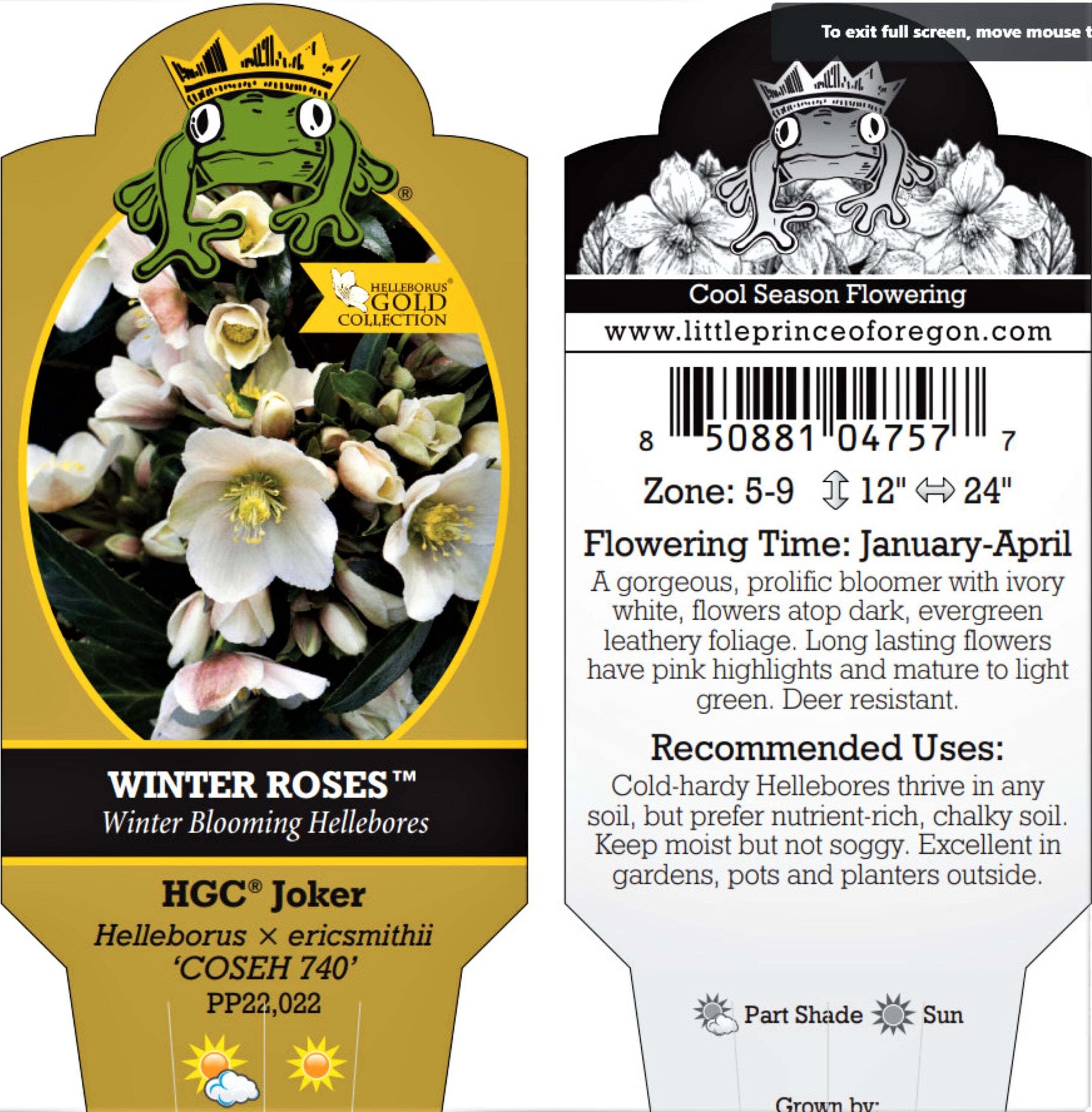 HGC® Joker Hellebore (1 Gallon)