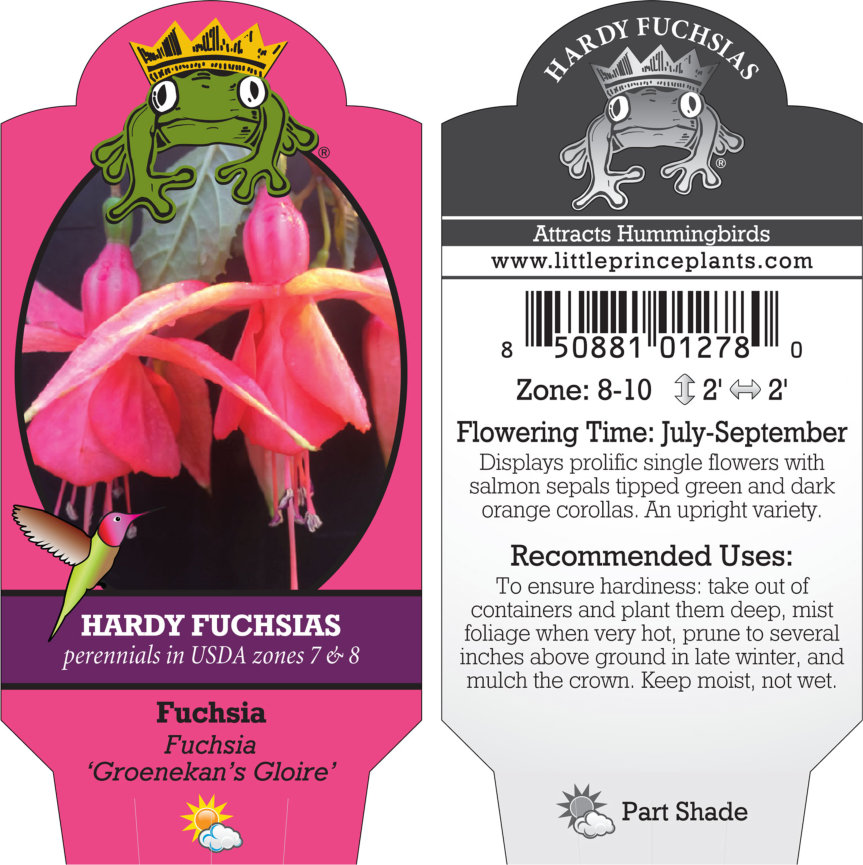 YK☆4点おまとめ☆Ungaro fuchsia他3点 Fuchsia-Groenekans-Gloire-