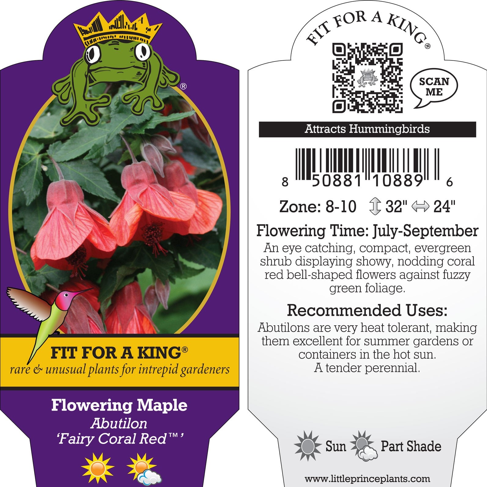 Abutilon 'Fairy Coral Red'™ - Flowering Maple