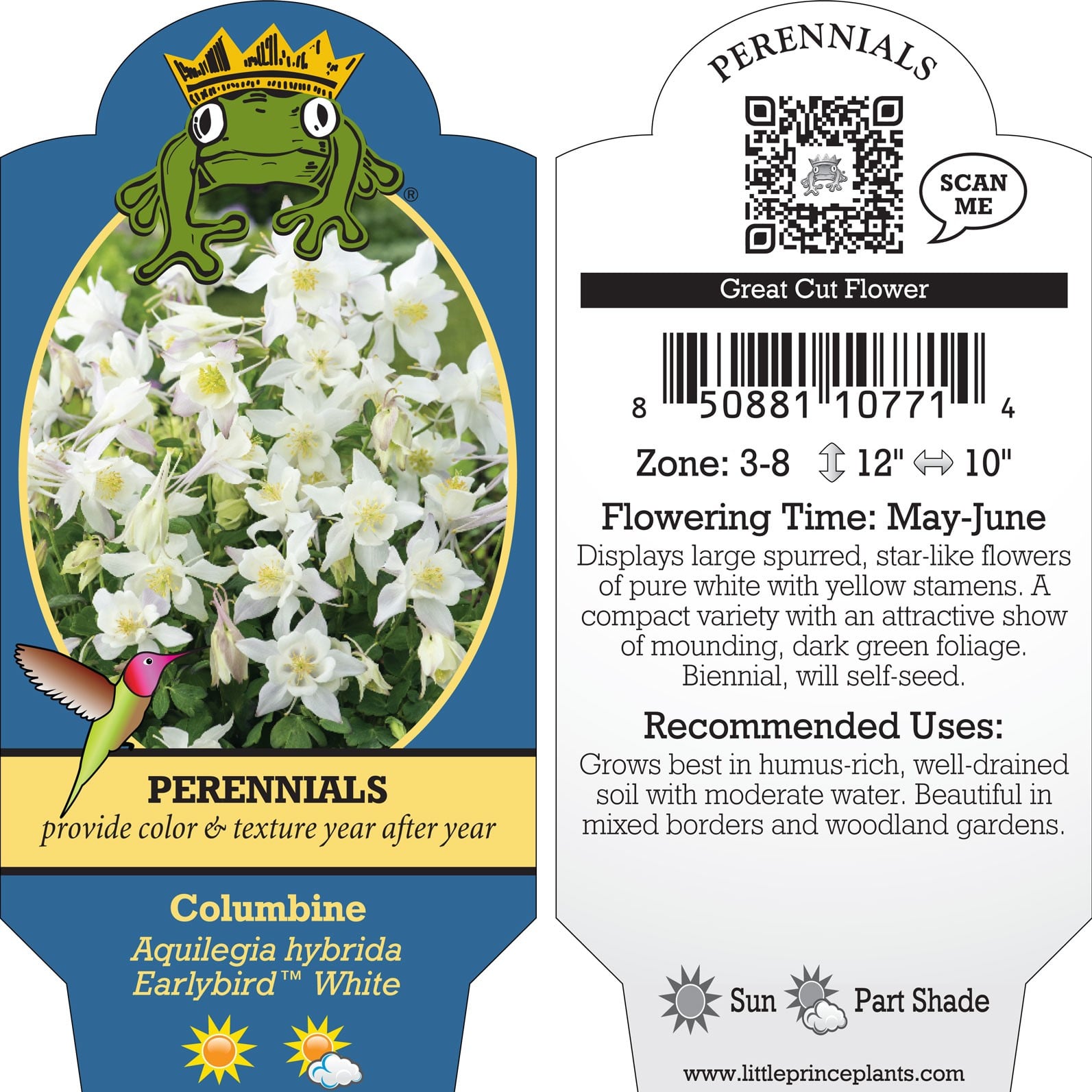 Aquilegia hybrida 'Earlybird™ White' - Columbine