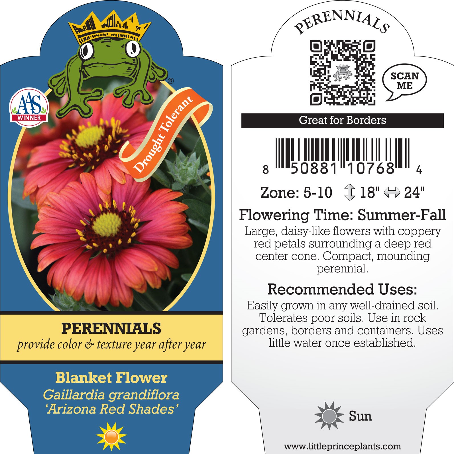 Gaillardia grandiflora 'Arizona Red Shades' - Blanket Flower