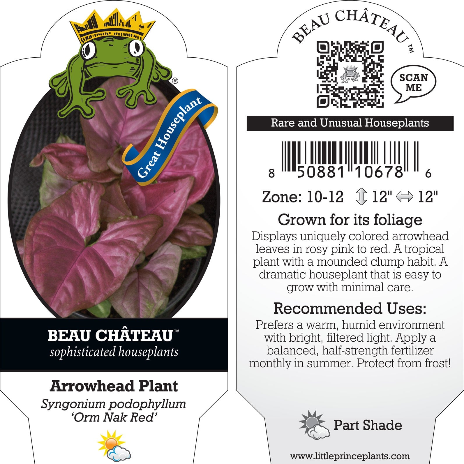 Syngonium podophyllum 'Orm Nak Red' - Arrowhead Plant