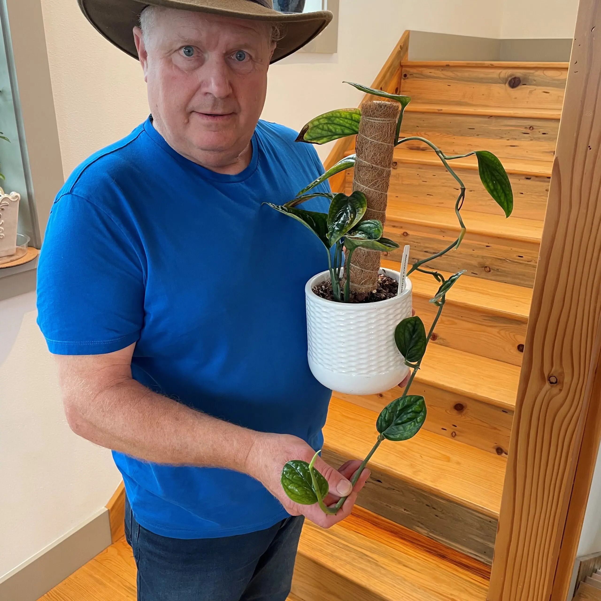 Trailing Plant Leaf Size Mystery: Grow Like Mike