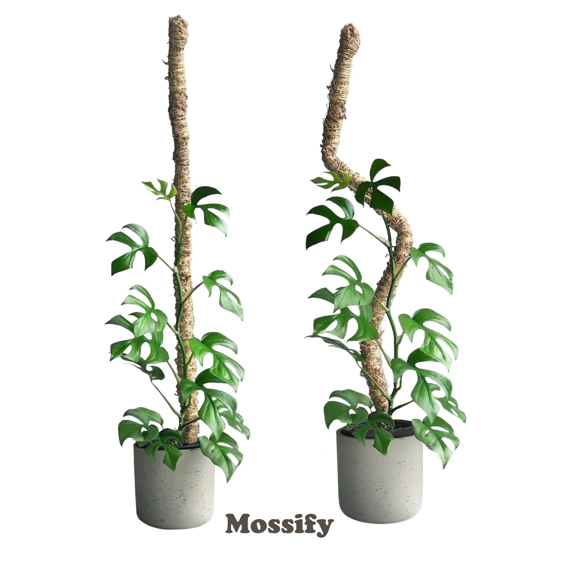 Mossify - The Original Bendable Moss Pole™