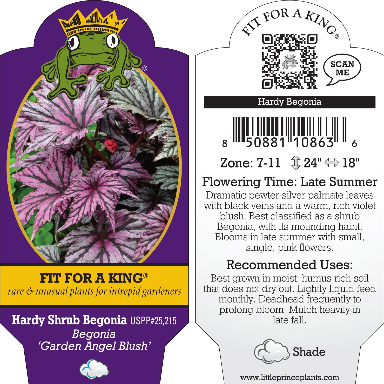 Bluse Begonia main image 1